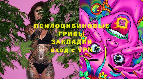 прущие крисы Баксан
