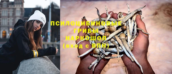 амф Балахна