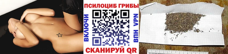 Галлюциногенные грибы ЛСД  Купить где  Мышкин 